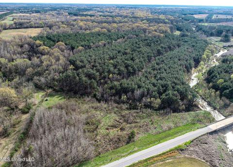 Tate-panola Road, Como, MS 38619 photo 7