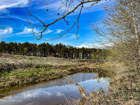 Tate-panola Road, Como, MS 38619 photo 84