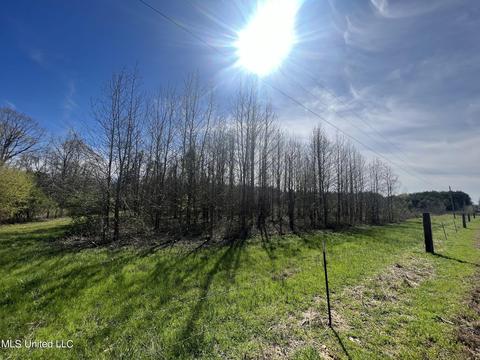 Tate-panola Road, Como, MS 38619 photo 51