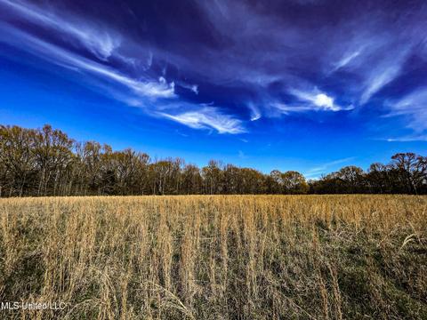 Tate-panola Road, Como, MS 38619 photo 66