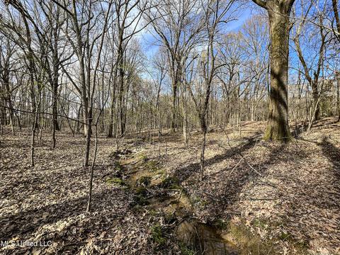 Tate-panola Road, Como, MS 38619 photo 72