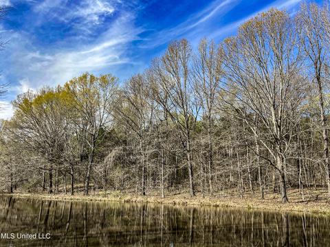 Tate-panola Road, Como, MS 38619 photo 64