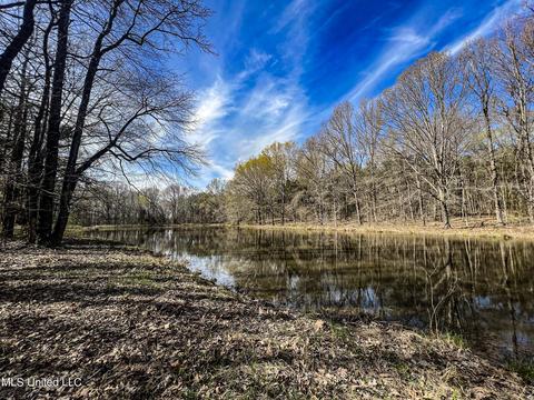 Tate-panola Road, Como, MS 38619 photo 62
