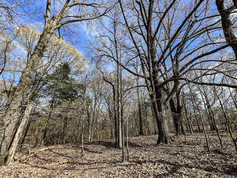 Tate-panola Road, Como, MS 38619 photo 68