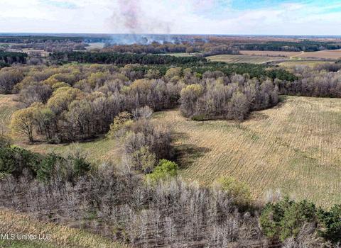 Tate-panola Road, Como, MS 38619 photo 18