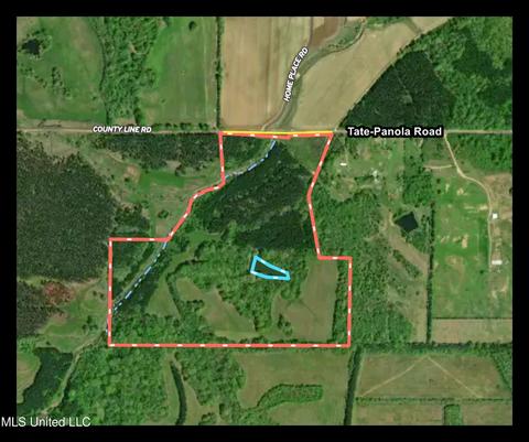 Tate-panola Road, Como, MS 38619 photo 4