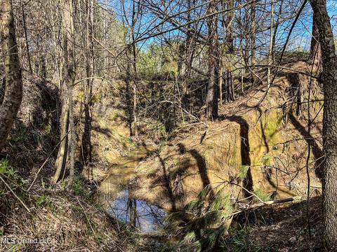 Tate-panola Road, Como, MS 38619 photo 80