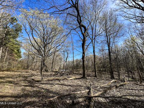 Tate-panola Road, Como, MS 38619 photo 54