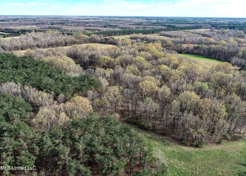 Tate-panola Road, Como, MS 38619 photo 14
