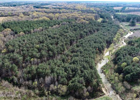 Tate-panola Road, Como, MS 38619 photo 8