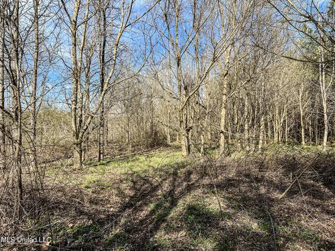 Tate-panola Road, Como, MS 38619 photo 81