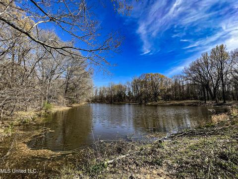 Tate-panola Road, Como, MS 38619 photo 55