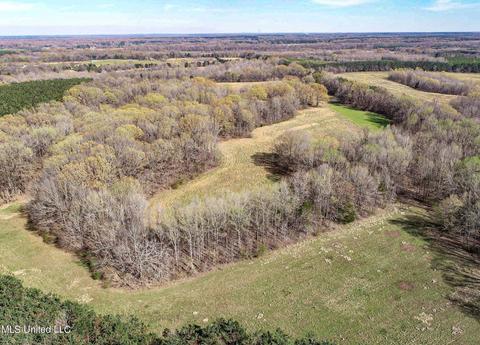 Tate-panola Road, Como, MS 38619 photo 34
