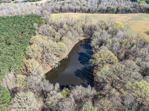 Tate-panola Road, Como, MS 38619 photo 40
