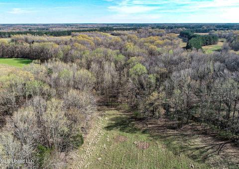 Tate-panola Road, Como, MS 38619 photo 37