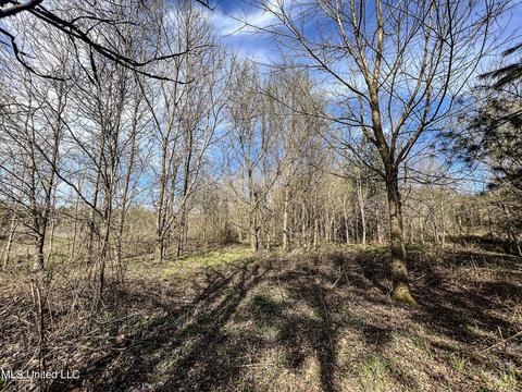 Tate-panola Road, Como, MS 38619 photo 82
