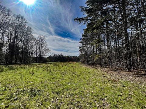 Tate-panola Road, Como, MS 38619 photo 53