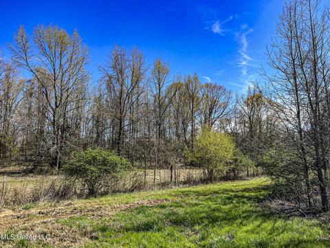 Tate-panola Road, Como, MS 38619 photo 49