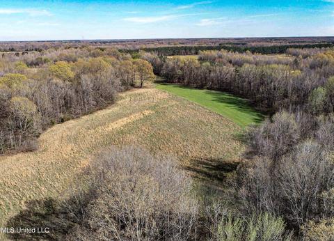 Tate-panola Road, Como, MS 38619 photo 25