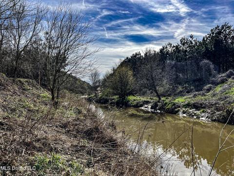 Tate-panola Road, Como, MS 38619 photo 83