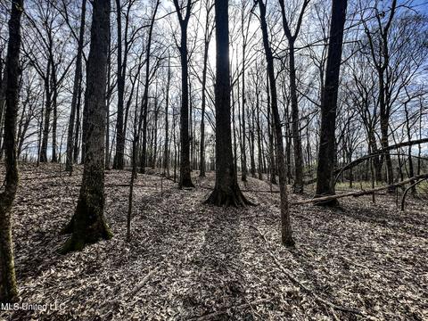 Tate-panola Road, Como, MS 38619 photo 75