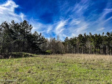 Tate-panola Road, Como, MS 38619 photo 58