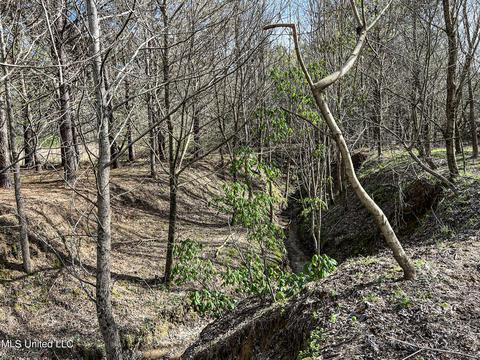 Tate-panola Road, Como, MS 38619 photo 86
