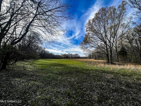 Tate-panola Road, Como, MS 38619 photo 65