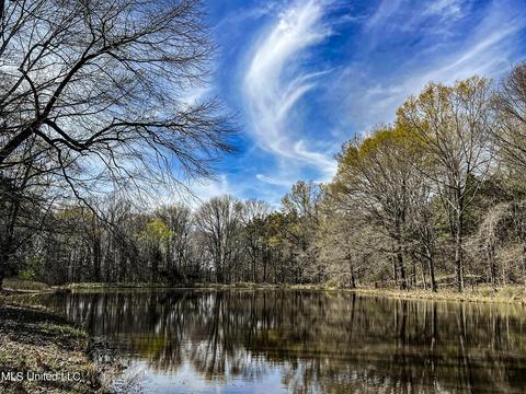 Tate-panola Road, Como, MS 38619 photo 63