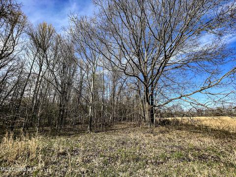Tate-panola Road, Como, MS 38619 photo 60