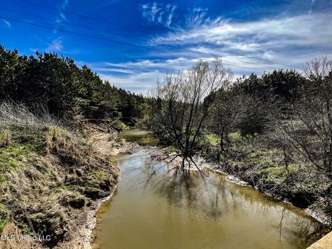 Tate-panola Road, Como, MS 38619 photo 48