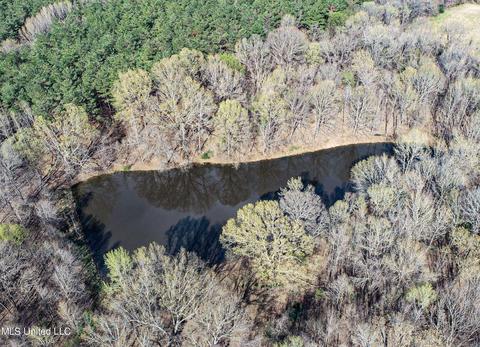 Tate-panola Road, Como, MS 38619 photo 39
