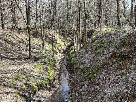 Tate-panola Road, Como, MS 38619 photo 87
