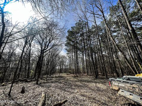 Tate-panola Road, Como, MS 38619 photo 56