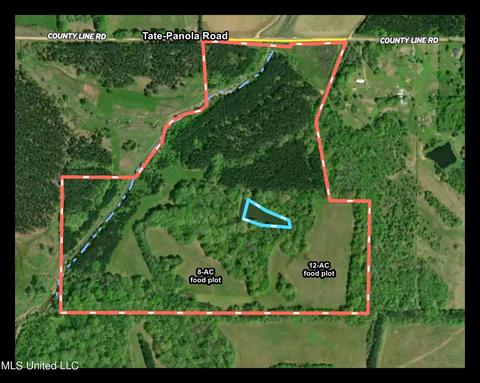 Tate-panola Road, Como, MS 38619 photo 5