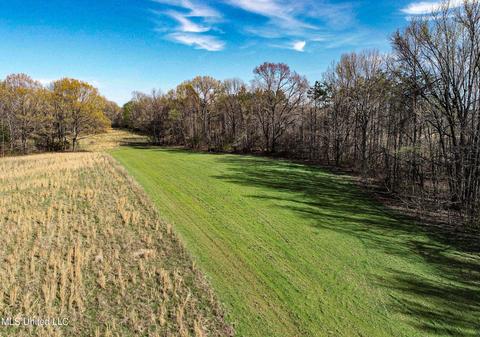 Tate-panola Road, Como, MS 38619 photo 27