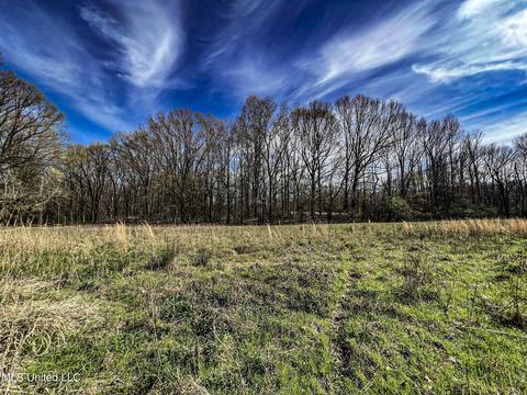 Tate-panola Road, Como, MS 38619 photo 79