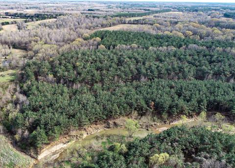 Tate-panola Road, Como, MS 38619 photo 10