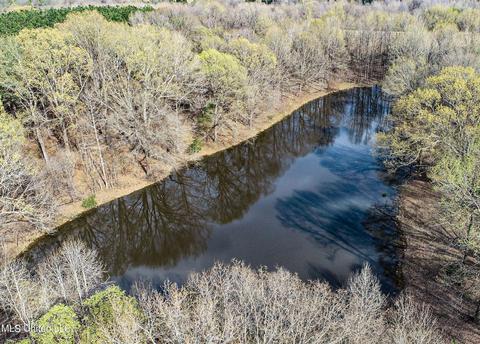 Tate-panola Road, Como, MS 38619 photo 43
