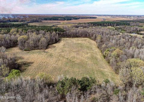 Tate-panola Road, Como, MS 38619 photo 17