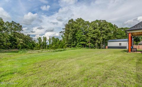 14632 Hidden Loop, Byhalia, MS 38611 photo 28