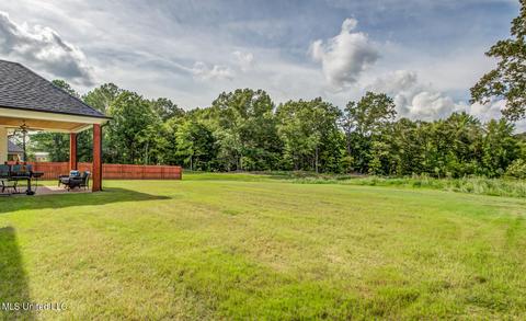 14632 Hidden Loop, Byhalia, MS 38611 photo 31