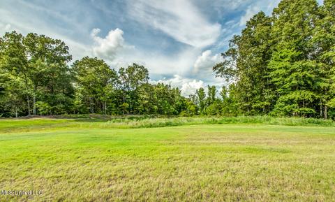 14632 Hidden Loop, Byhalia, MS 38611 photo 32