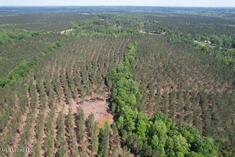 Co Rd 5033, Heidelberg, MS 39439