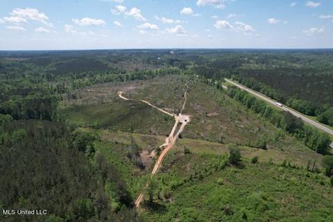 County Rd 4111, Paulding, MS 39348
