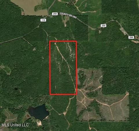 C R 1115, Vossburg, MS 39366