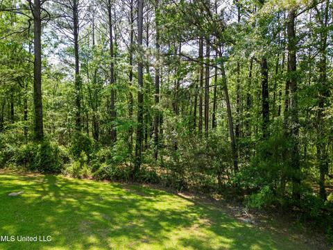 2947 Bee Tree Rd, Richton, MS 39476 photo 23