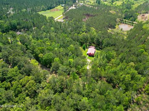 2947 Bee Tree Rd, Richton, MS 39476 photo 26