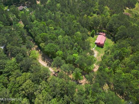 2947 Bee Tree Rd, Richton, MS 39476 photo 25