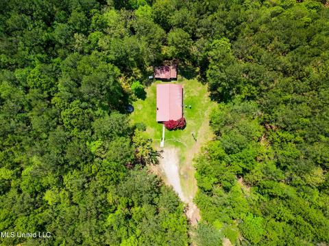 2947 Bee Tree Rd, Richton, MS 39476 photo 24